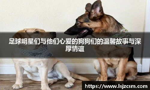 优游国际app